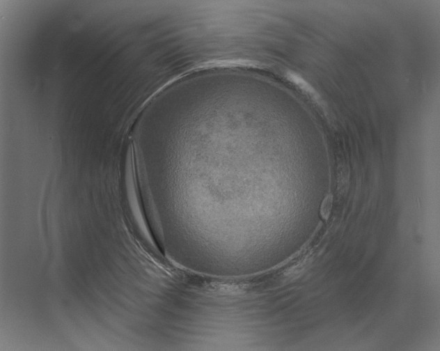 X0000074041361200609061157