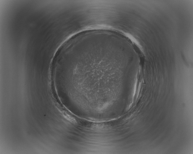 X0000074041364200609061156