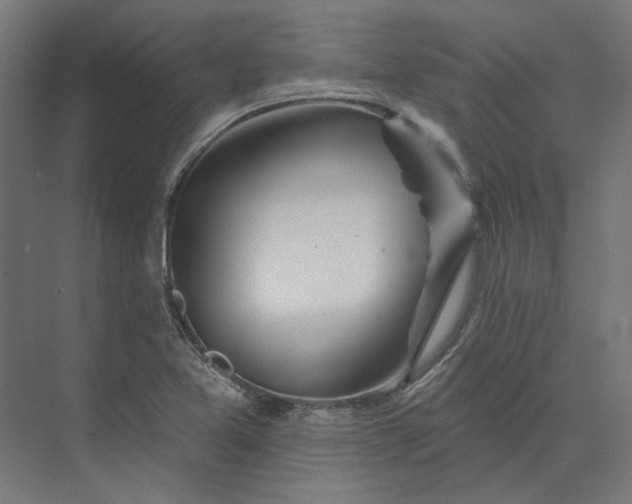 X0000074041365200609061156