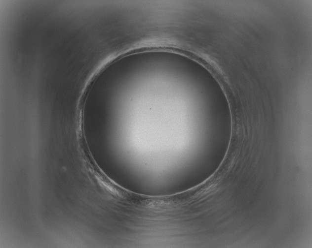 X0000074041366200609061156