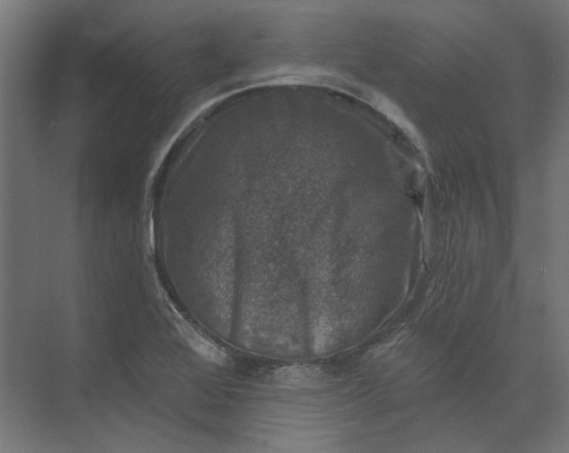 X0000074041368200609061156