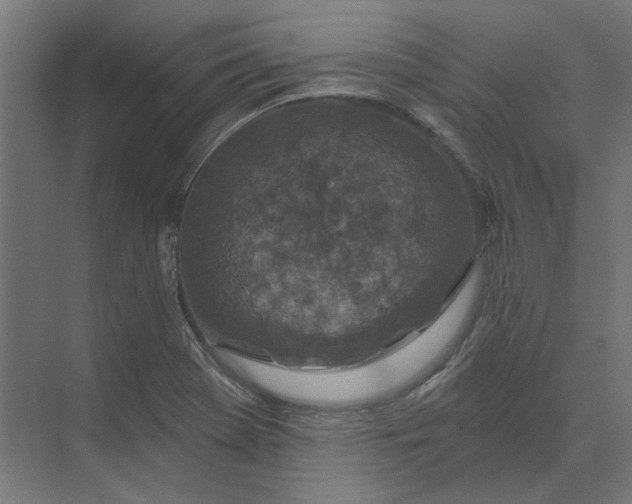 X0000074041369200609061156