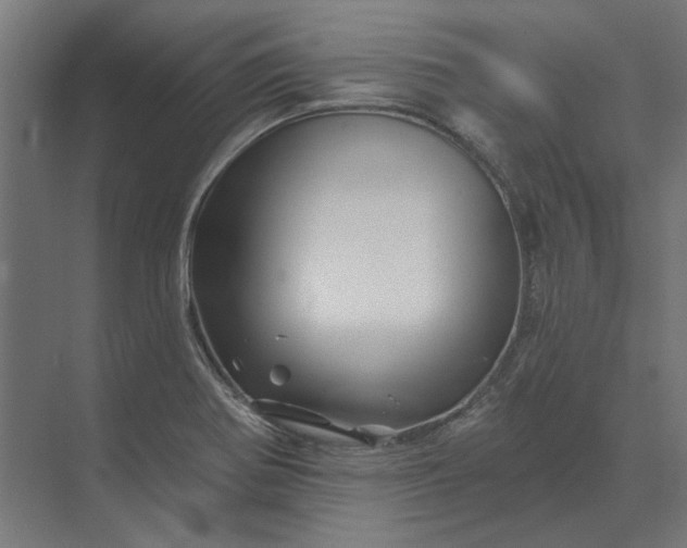 X0000074041370200609061156