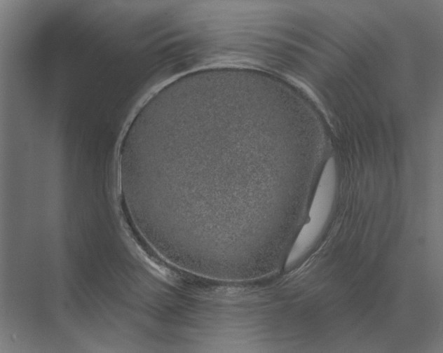 X0000074041371200609061156