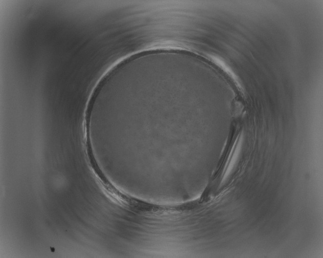 X0000074041372200609061156