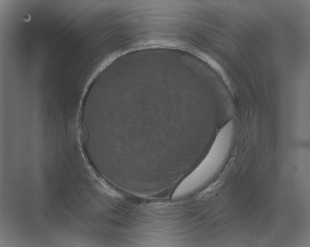 X0000074041373200609061156