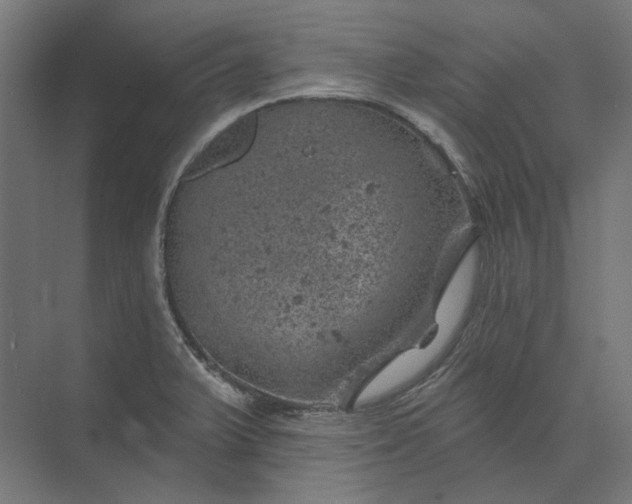 X0000074041375200609061156