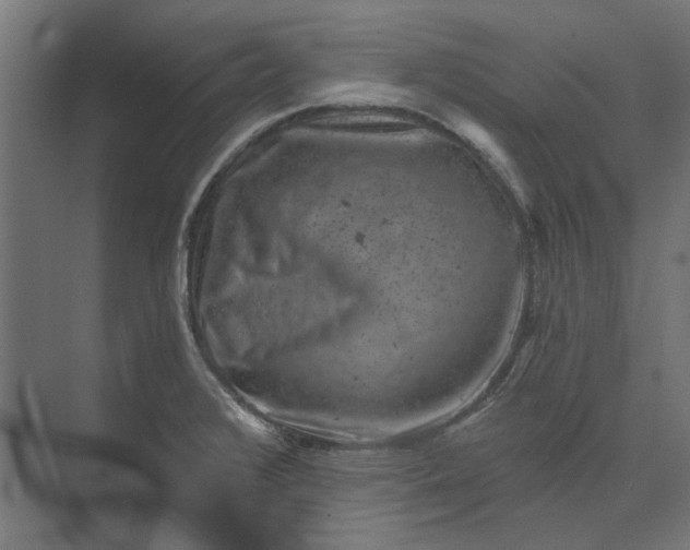 X0000074041376200609061156