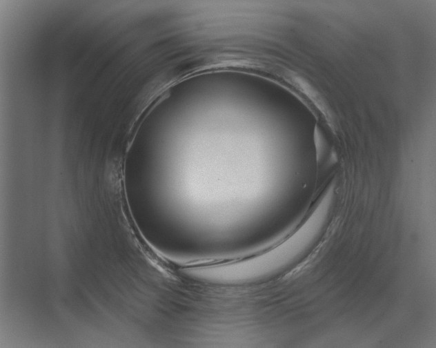 X0000074041377200609061156