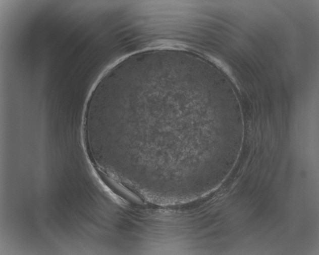 X0000074041379200609061156