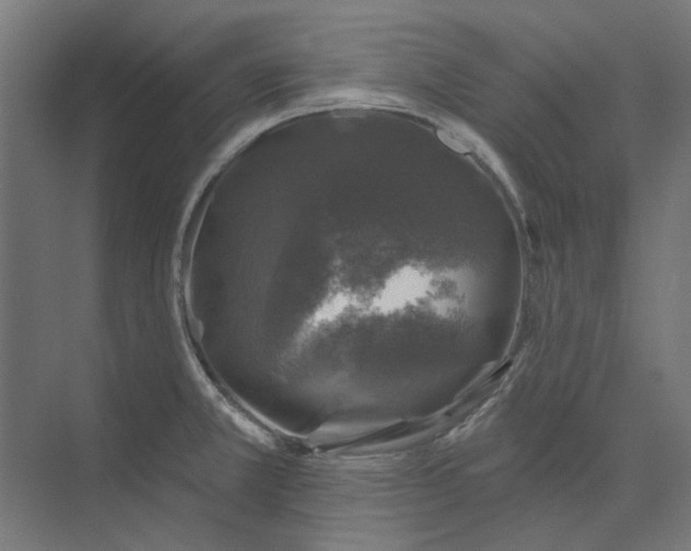 X0000074041381200609061156