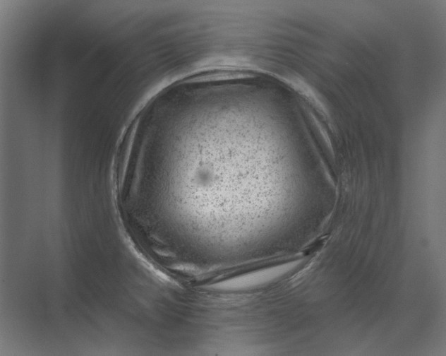 X0000074041382200609061156