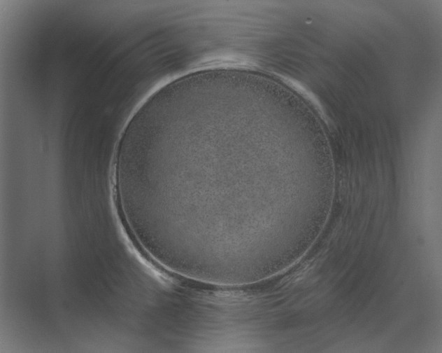 X0000074041383200609061156