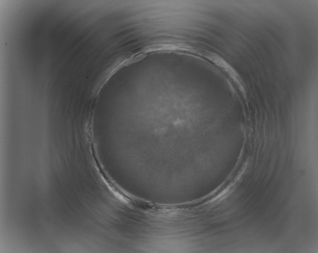 X0000074041385200609061156