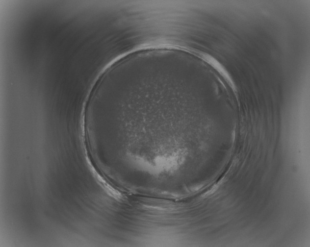 X0000074041388200609061156