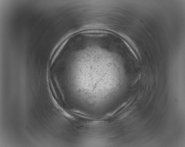 X0000074041390200609061156