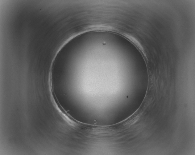 X0000074041391200609061156