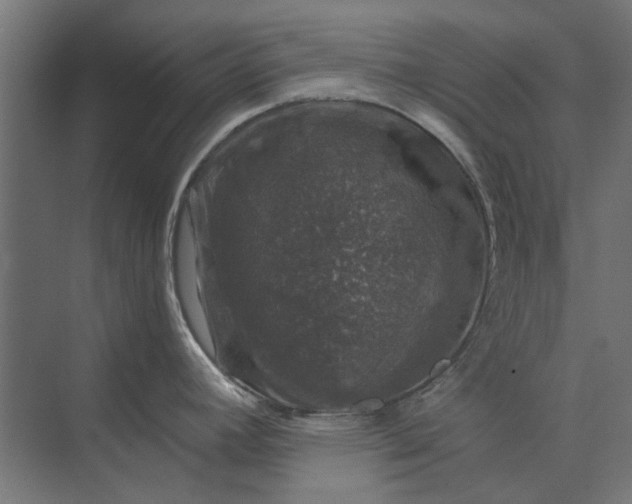 X0000074041392200609061156