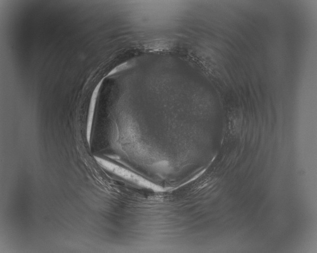 X0000074041393200609061155