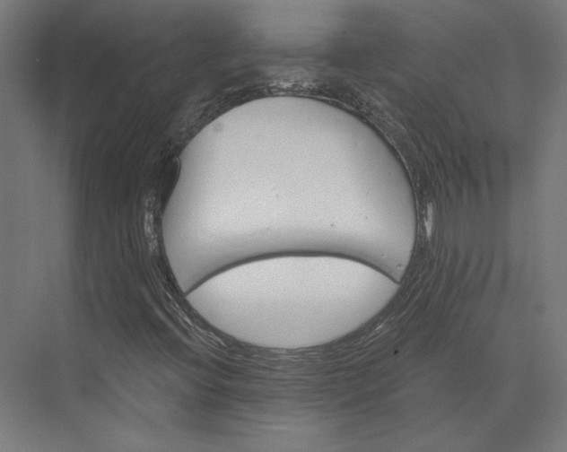 X0000074041396200609061155