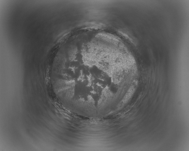 X0000074041399200609061155