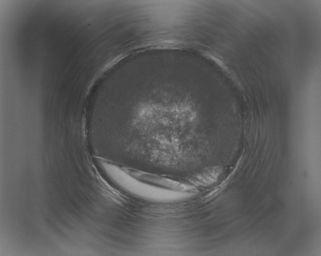 X0000074041402200609061155