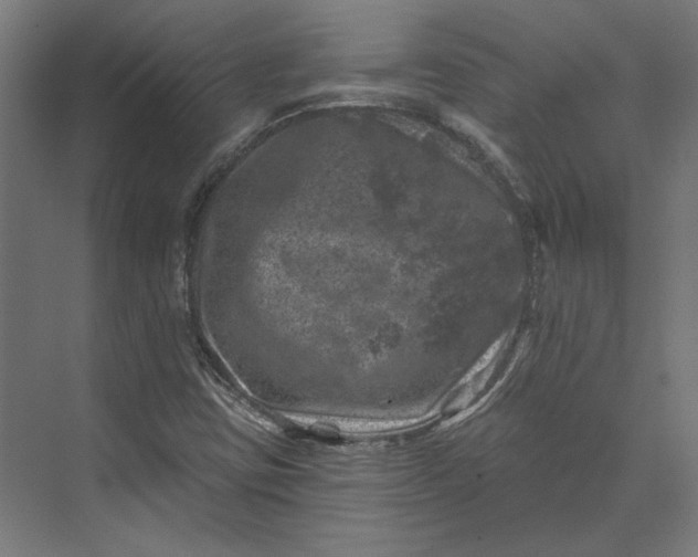 X0000074041403200609061155