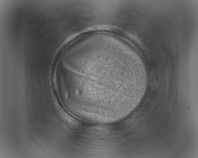 X0000074041404200609061155