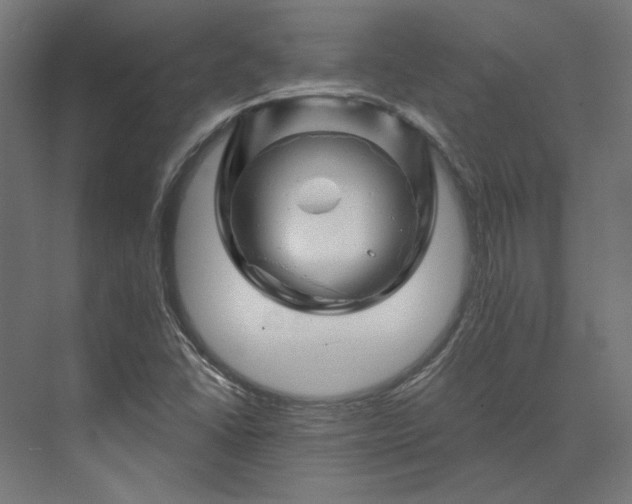 X0000074041406200609061155