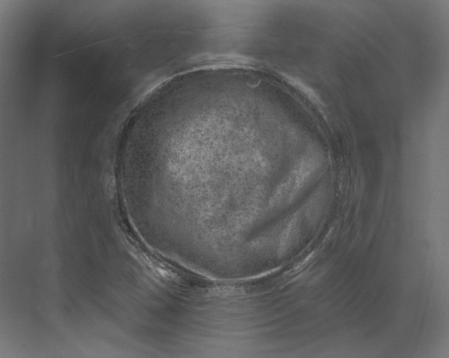 X0000074041407200609061155