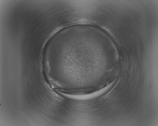 X0000074041410200609061155