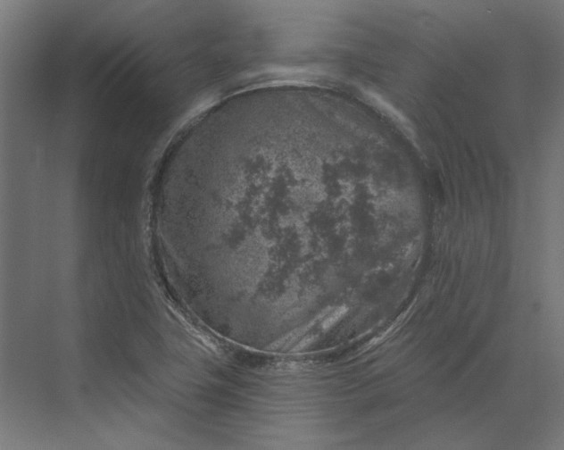 X0000074041411200609061156