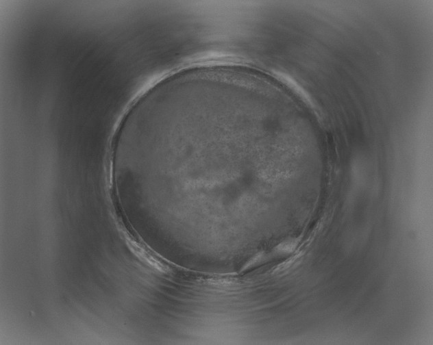 X0000074041413200609061156