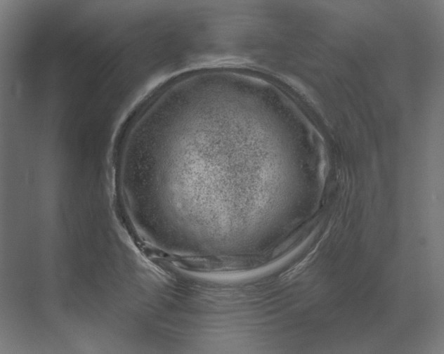 X0000074041414200609061156