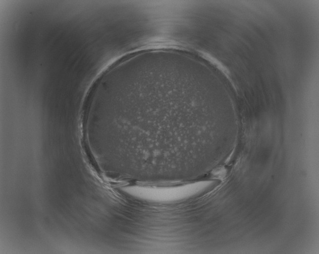 X0000074041415200609061156