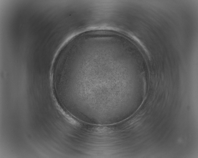 X0000074041416200609061156