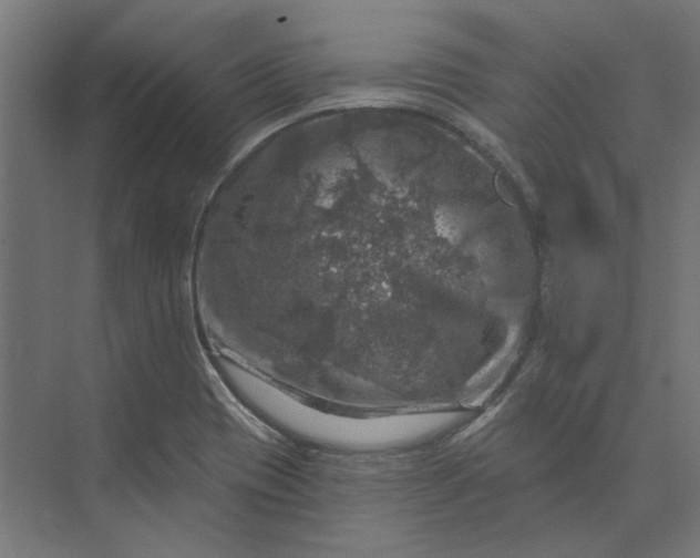 X0000074041417200609061156