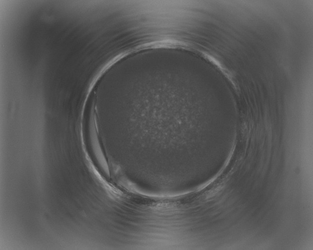 X0000074041418200609061156