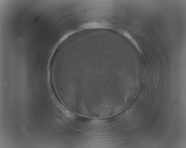 X0000074041419200609061156