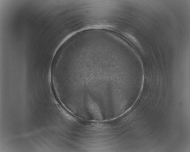 X0000074041420200609061156