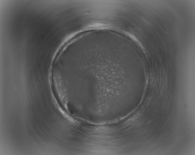 X0000074041421200609061156