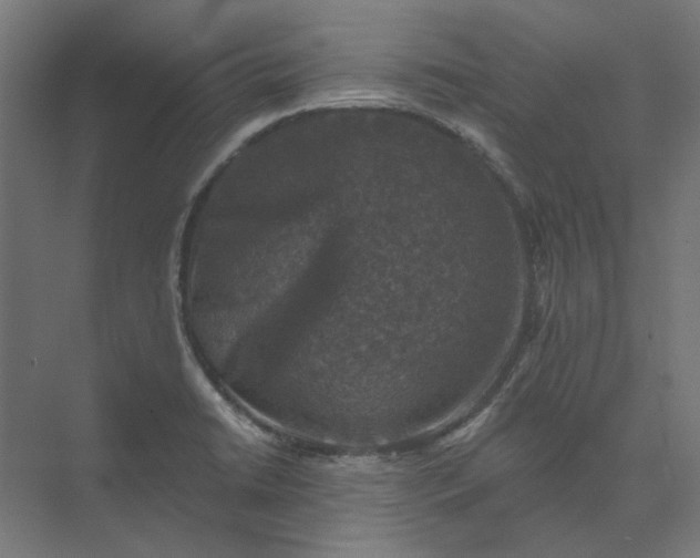 X0000074041422200609061156