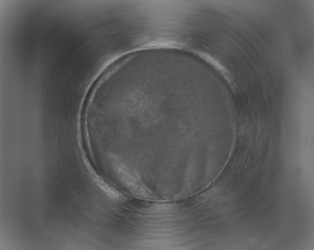 X0000074041423200609061156