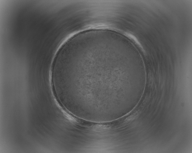 X0000074041424200609061156