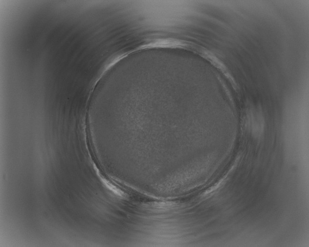 X0000074041425200609061156