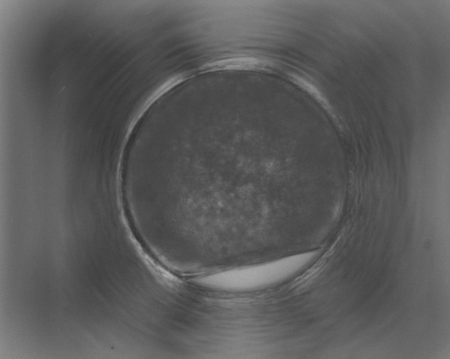 X0000074041426200609061156