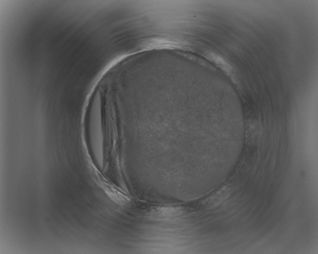 X0000074041427200609061156