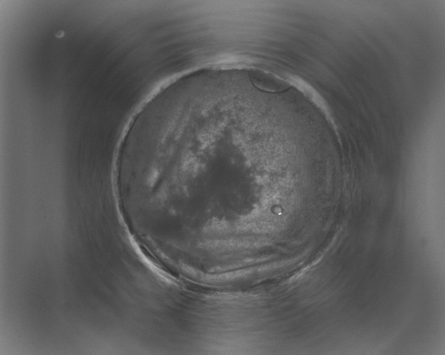 X0000074041429200609061156