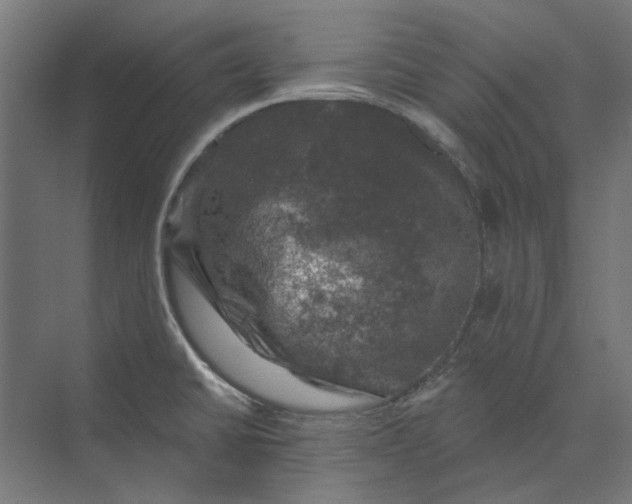 X0000074041430200609061156