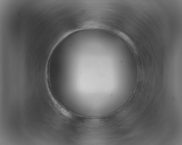 X0000074041431200609061156